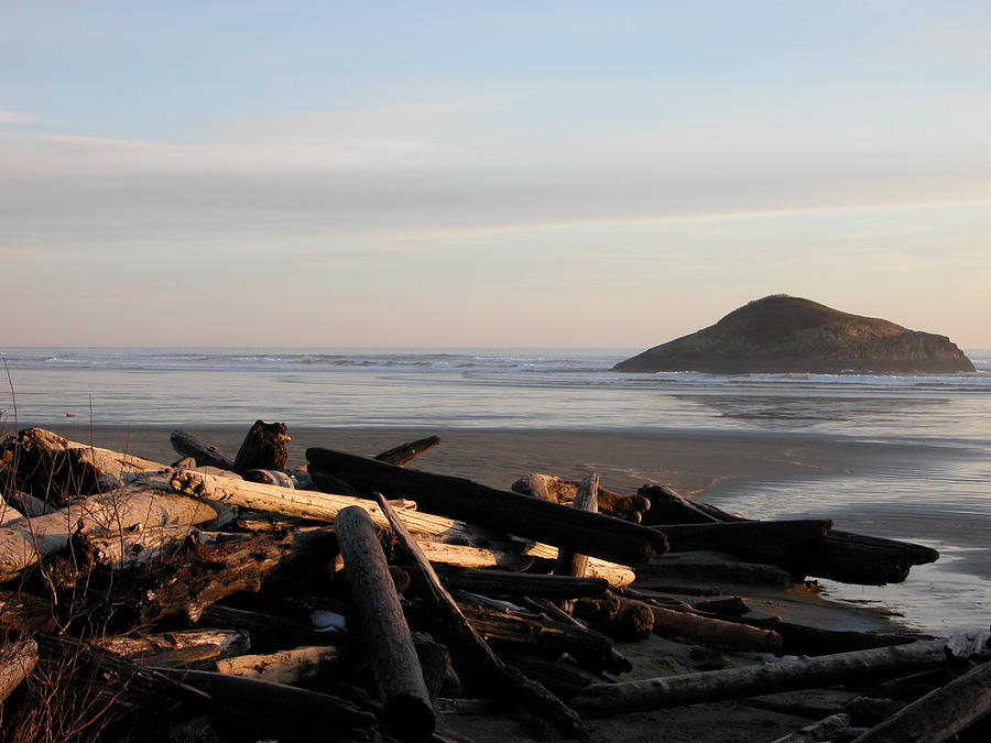 Long Beach Drift B.C. Photograph by Don F Bradford Fine Art America