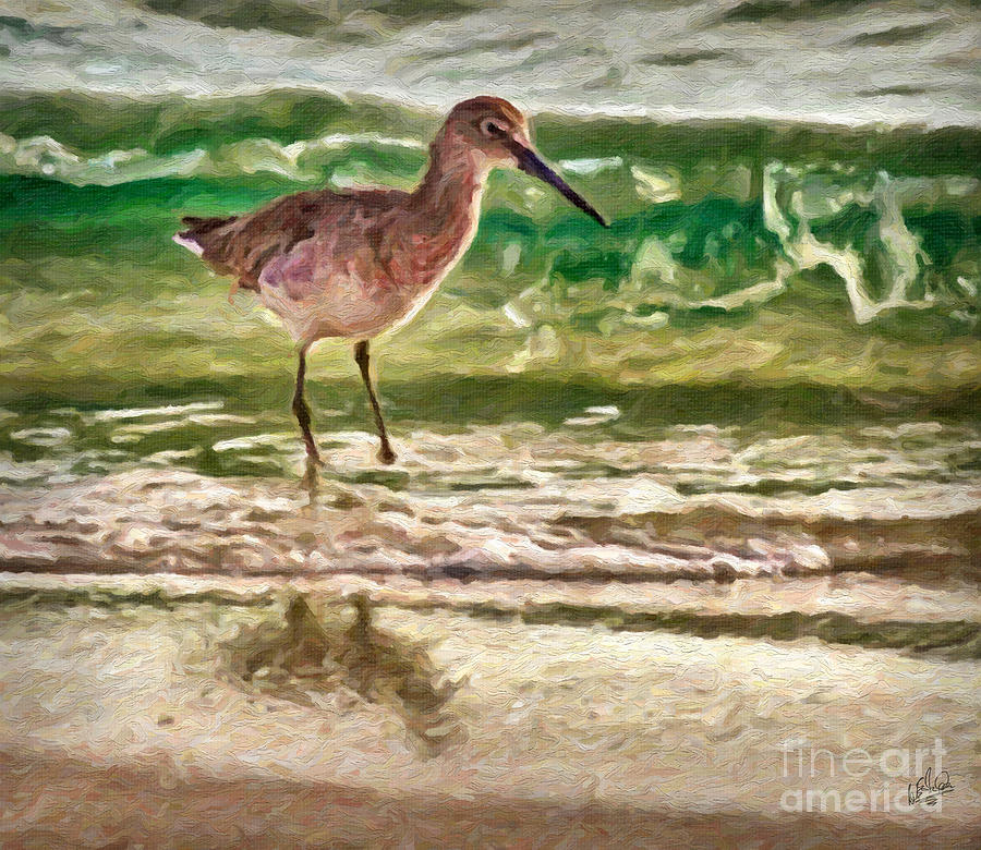 Long Beaked Beach Bird Painting by Walt Foegelle