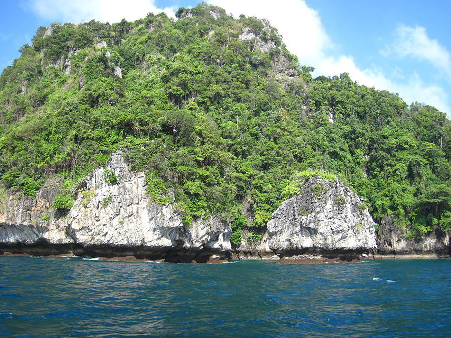 Boat Photograph - Long Boat Tour - Phi Phi Island - 011320 by DC Photographer