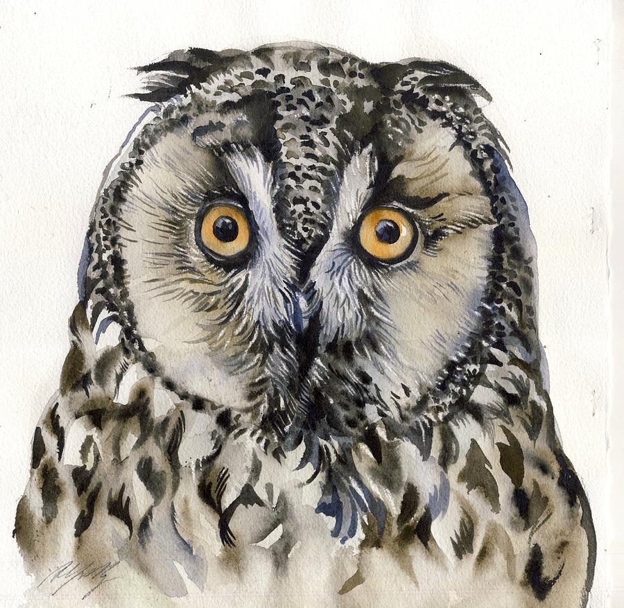 Long Eared Owl Painting by Alfred Ng