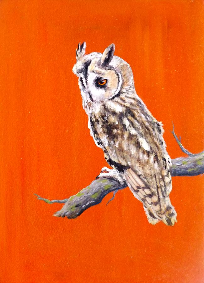 Long Eared Owl Painting by Kieran McElhinney - Fine Art America