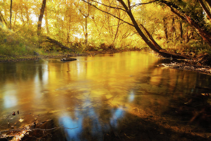 Long Exposure Of Stream With Autumn Photograph by Anna Gorin
