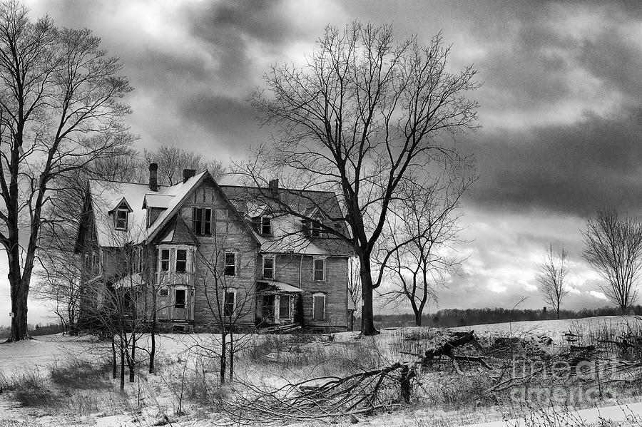 Tree Photograph - Long Hard Winter by Michele Steffey