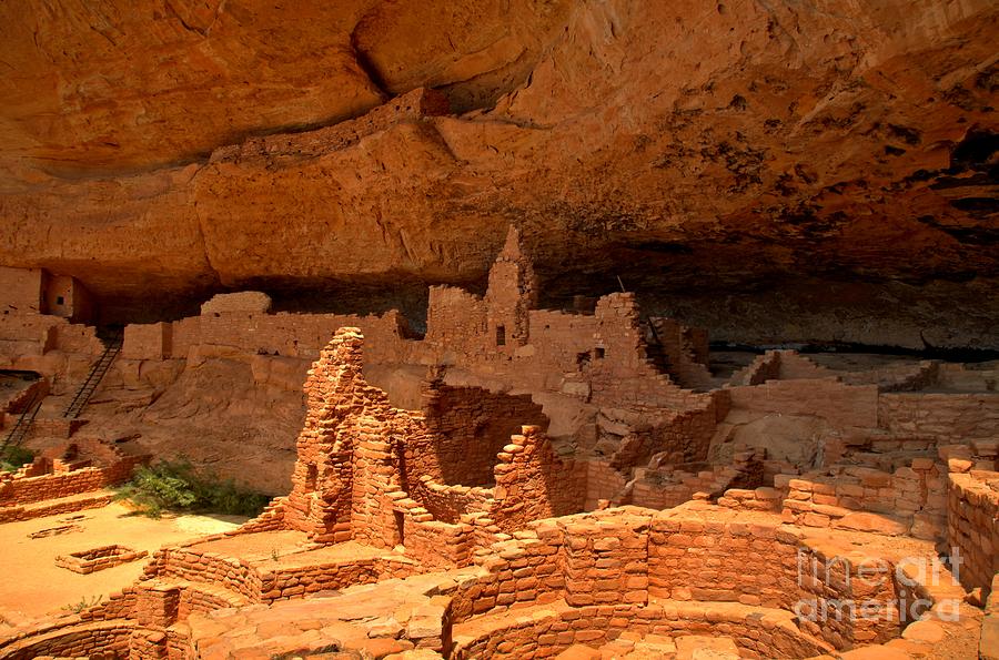 Long House Cliff Dwelling Photograph by Adam Jewell
