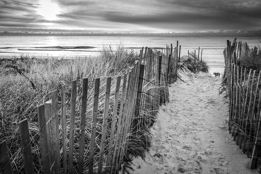 Beach Photograph - Long Island in A Picture by Ryan Moore