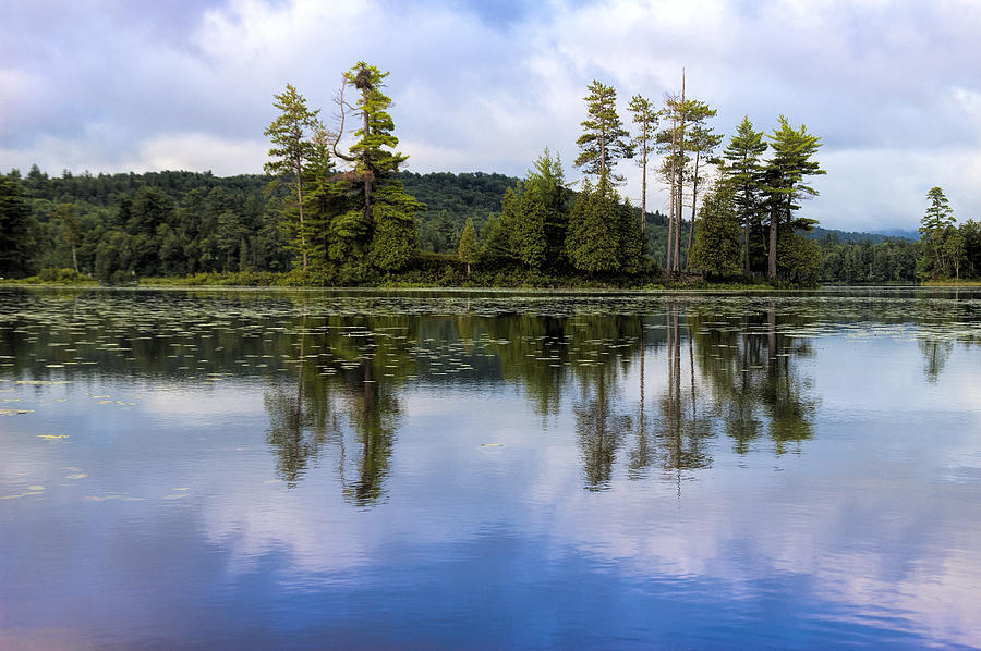 Tree Photograph - Long Lake Reflection by Stoney Stone