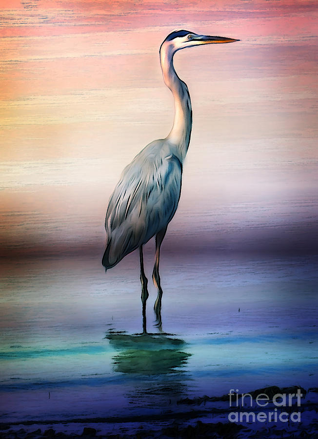 Bird Photograph - Long Legged Fisherman by Deena Athans