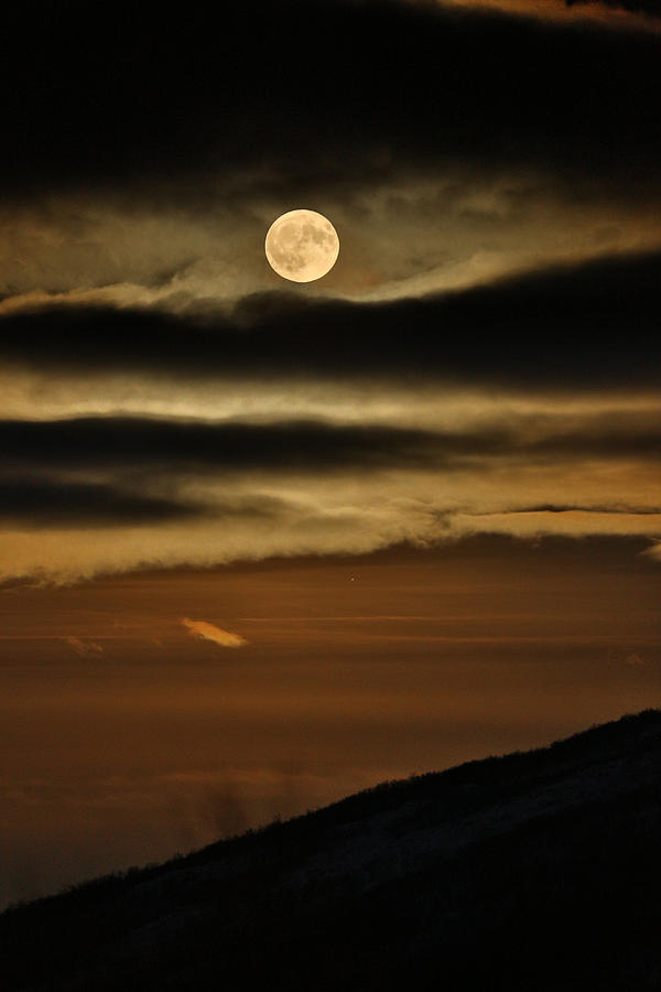 Long Nights Moon Photograph by Pekka Sammallahti