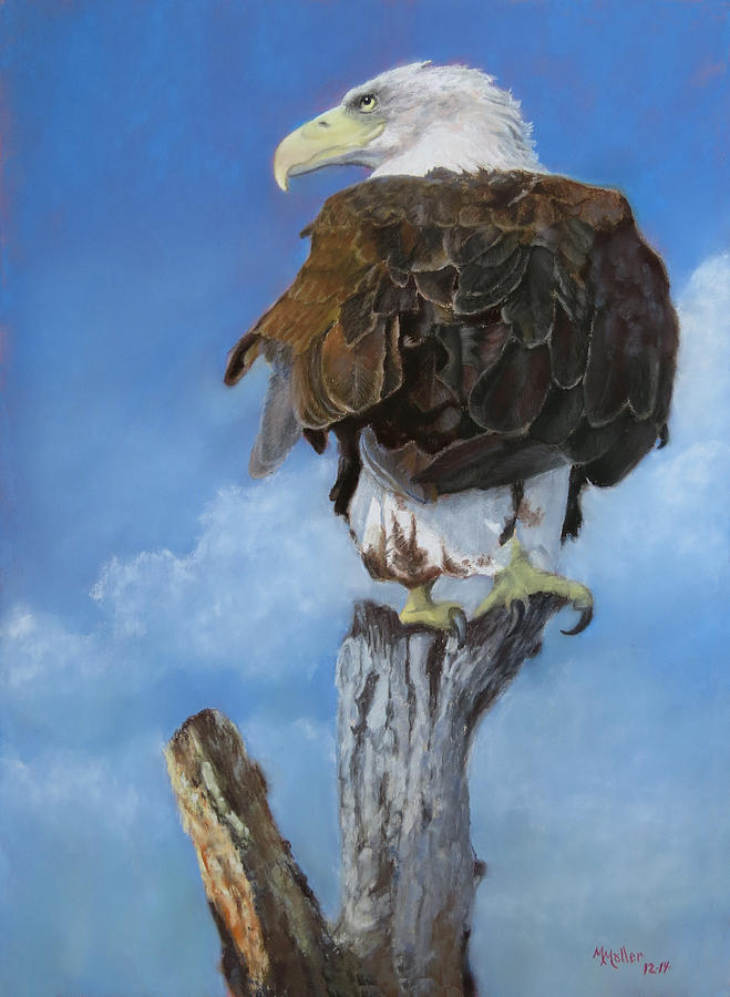 Bald Eagle Pastel - Long Pale Beak by Marcus Moller