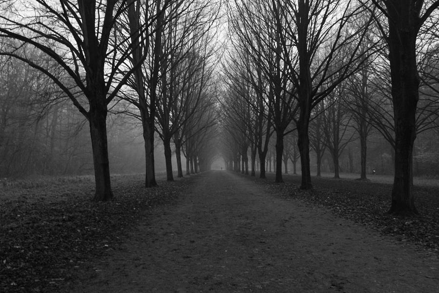 Long path Photograph by Simon Train - Fine Art America