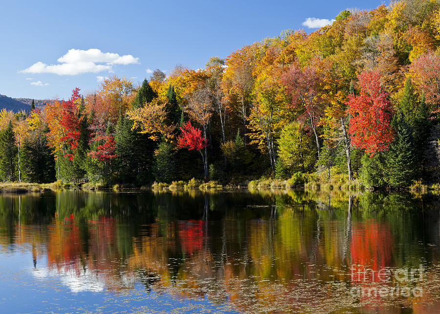 Long Pond Autumn Photograph by Alan L Graham