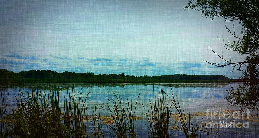 Long Pond Photograph by Judy Via-Wolff