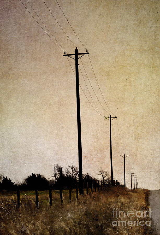 Tree Photograph - Long Road by Elena Nosyreva