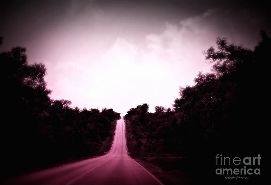 Tree Photograph - Long Road Home by Suzanne McKelvey
