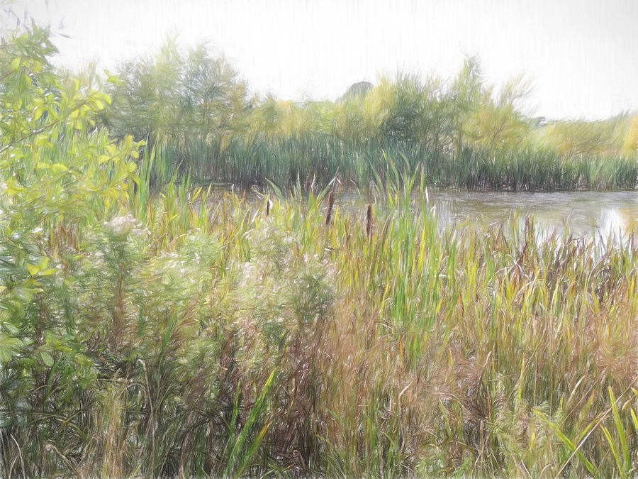 Long Run Meadow  Digital Art by Jayne Wilson