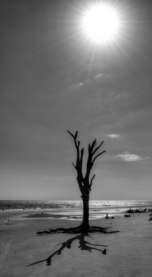 Nature Photograph - Long Shadow on Jekyll Island in Black and White by Greg and Chrystal Mimbs