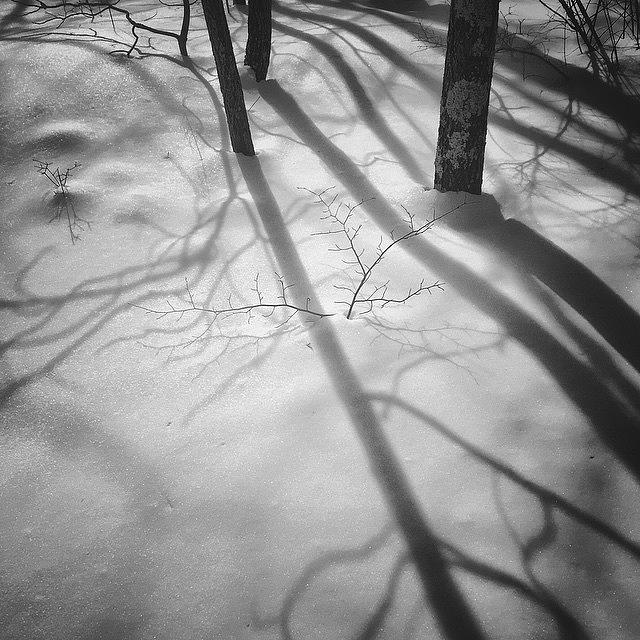 Winter Photograph - Long Shadows, 2015.02.07 #bmr #lehman by Aaron Campbell
