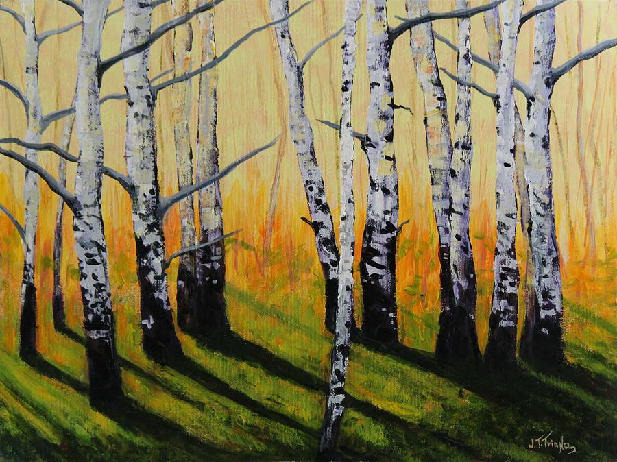 Nature Painting - Long Shadows White Birch by Joe  Triano