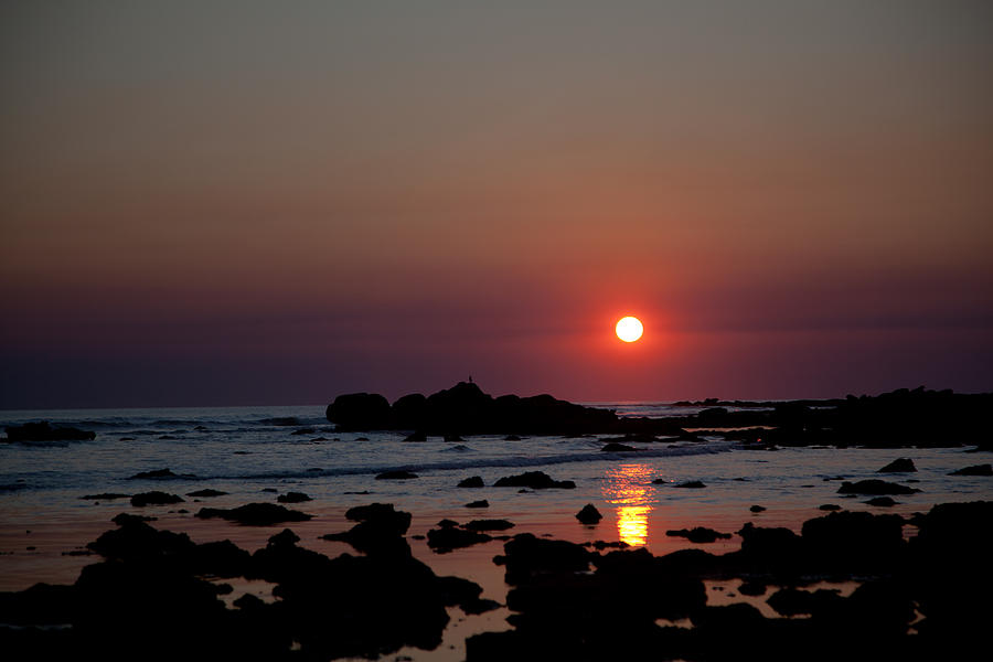 Long Sun Set Photograph by Carole Hinding