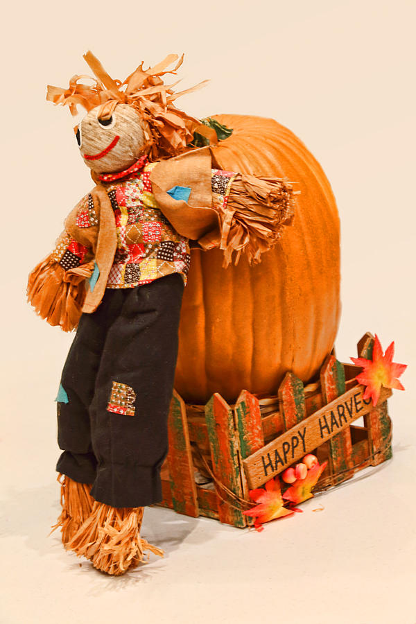 Long Tall Scarecrow and Pumpkin Photograph by Linda Phelps
