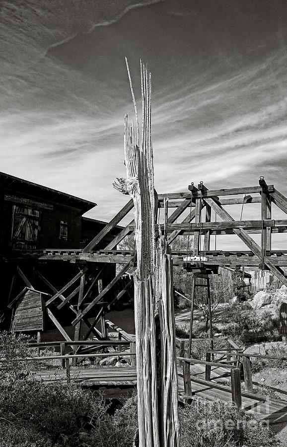 Long Time Gold Mine Sentinel in Black and White Photograph by Lee Craig