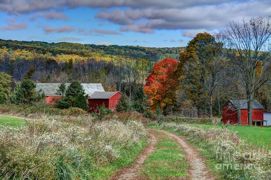 Long Valley Farm Photograph by Craig Holquist - Fine Art America