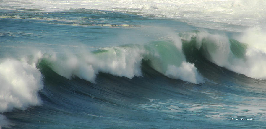 Long Wave Photograph by Donna Blackhall