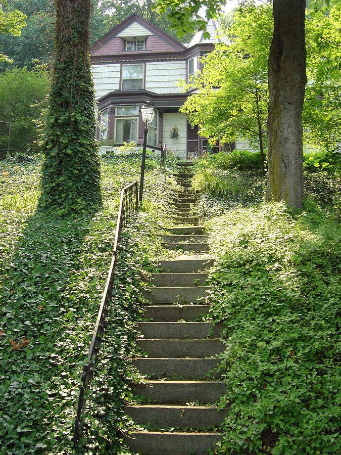 long-way-up-photograph-by-sylvia-shimkus-pixels