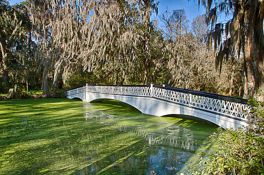 Long White Bridge at Magnolia Plantation Photograph by Bill Barber