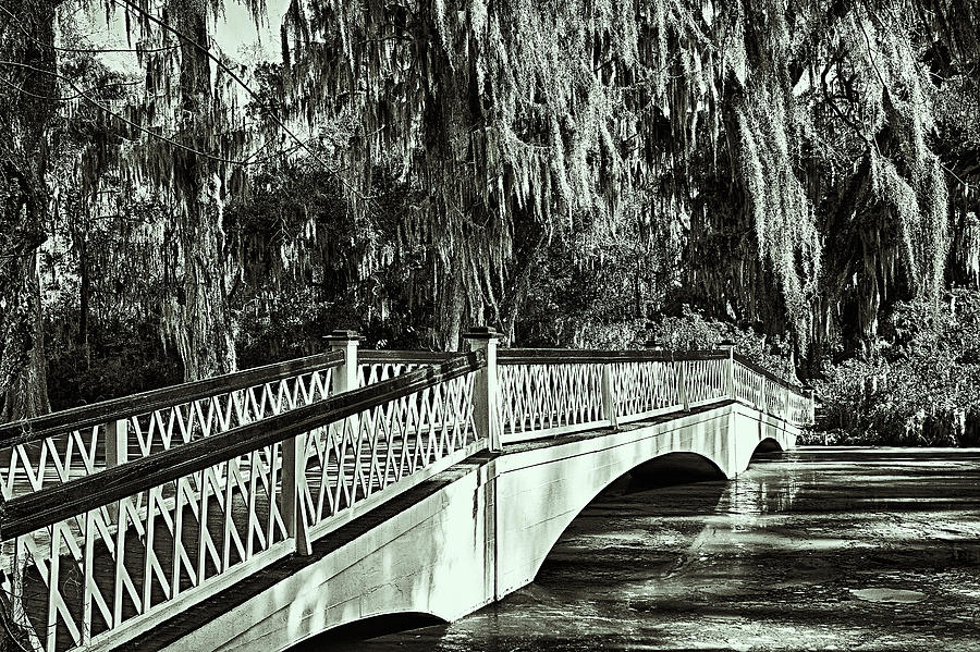 Long White Bridge Magnolia Plantation Photograph by Bill Barber