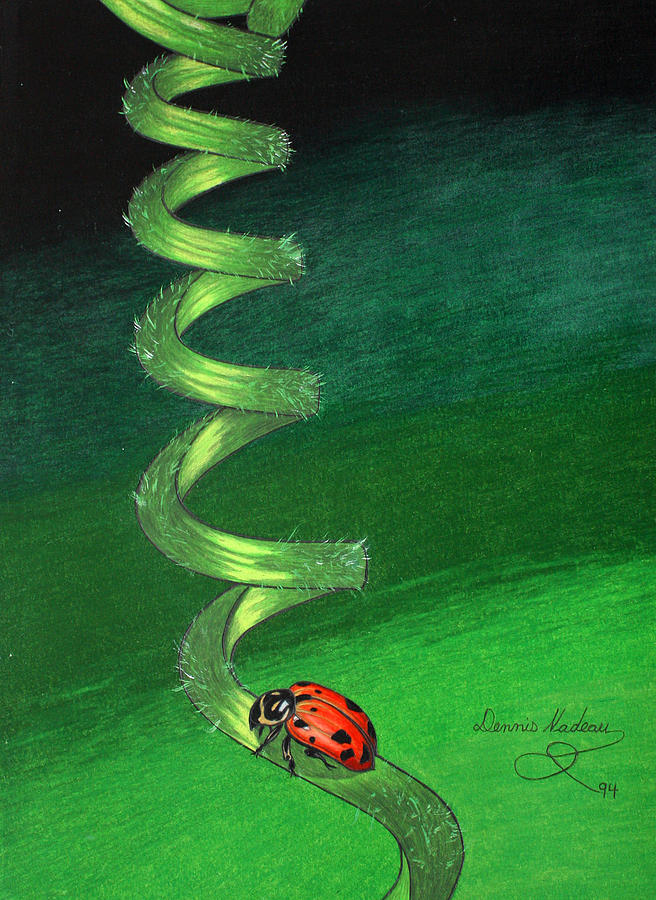 Ladybug Drawing - Long Winding Road by Dennis Nadeau