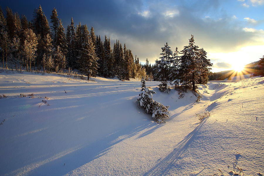 Long Winter Shadows Photograph by David Andersen