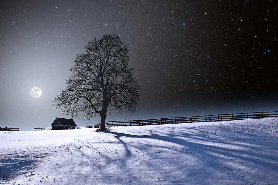 Long Winter Shadows Photograph by Larry Landolfi