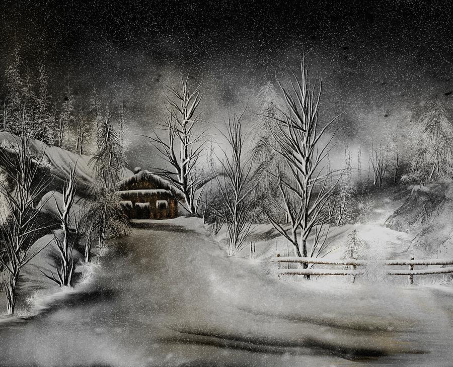 Winter Digital Art - Long Winters Night by Diane Storer