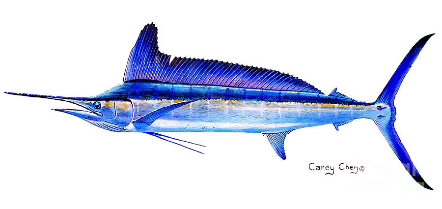Swordfish Painting - Longbill spearfish by Carey Chen