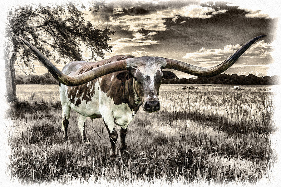Longhorn - Chrome Plated Star Digital Art by Ray Keeling Longhorn - Chrome Plated Star Digital Art by Ray Keeling