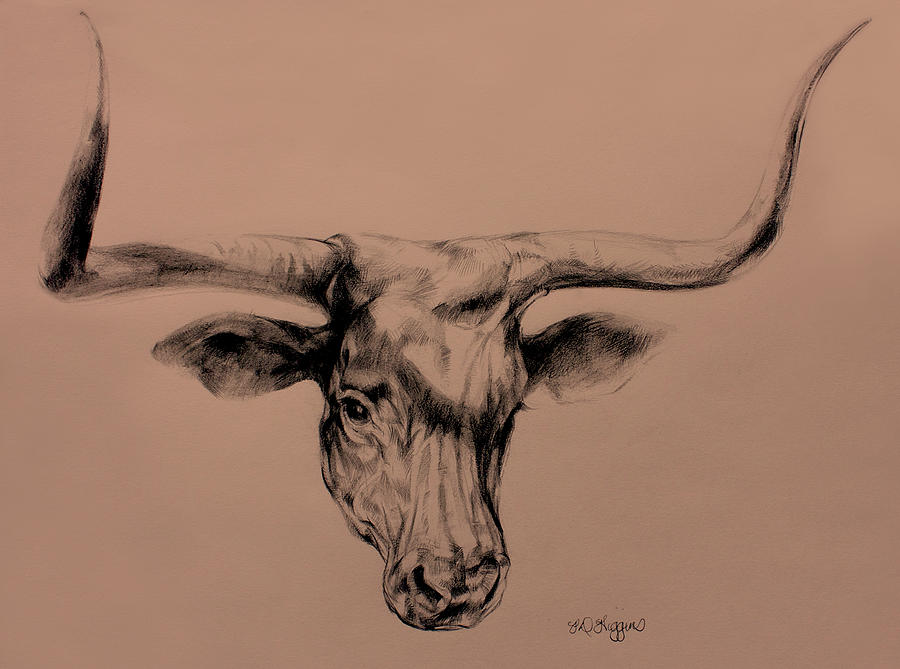 Cow Drawing - Longhorn Drawing by Derrick Higgins