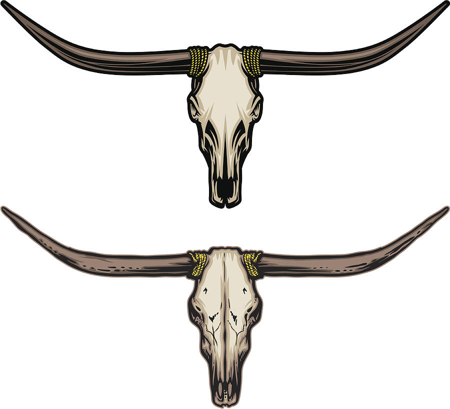Longhorn Skull Drawing by Daveturton
