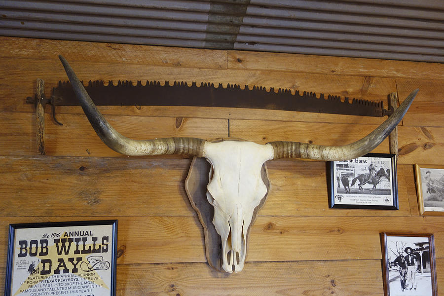 Longhorn Skull on Display Photograph by Ann Powell