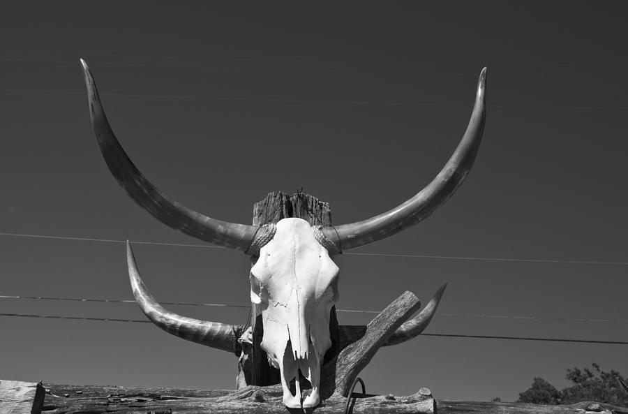 Longhorn skull on fence Photograph by Alan Tonnesen
