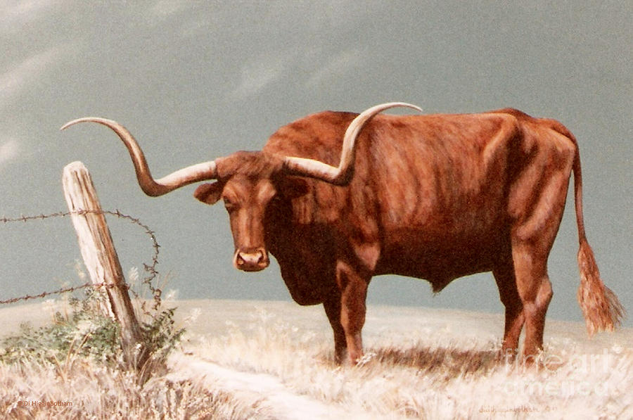 Longhorn Steer Painting by DiDi Higginbotham - Fine Art America