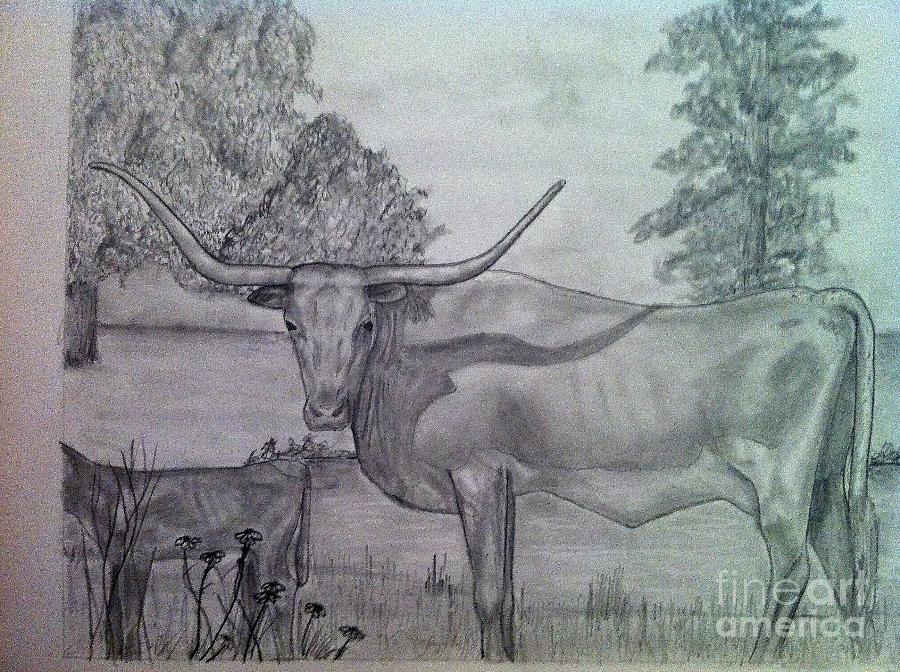 Horse Drawing - Longhorn with calf by Tony McCullough