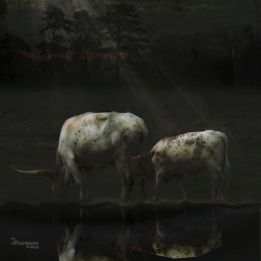 Cow Photograph - Longhorns Reflections At The Pond by Ericamaxine Price