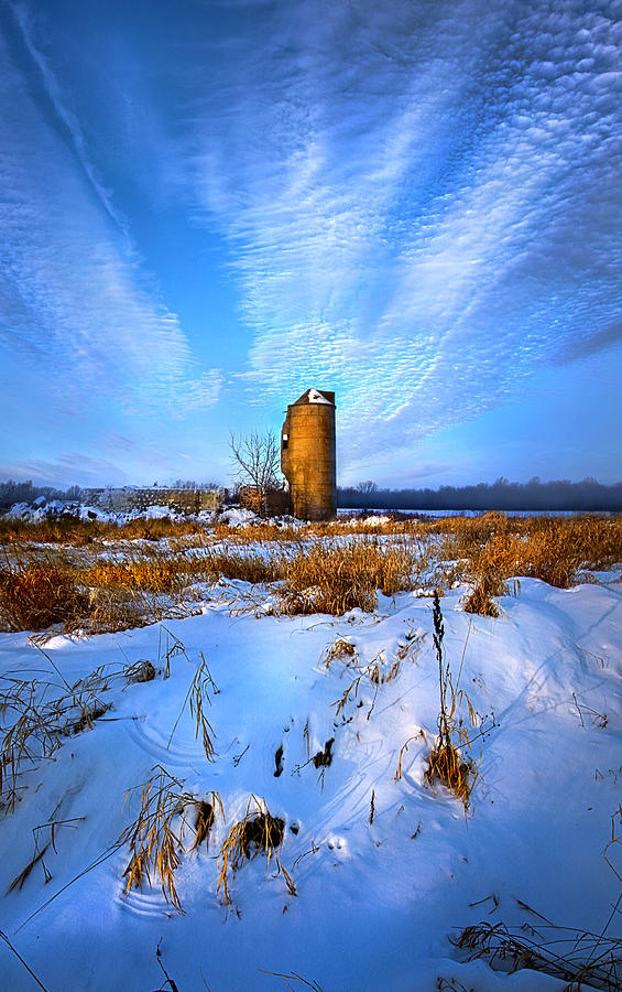 Winter Photograph - Longing For Some Solitary Company by Phil Koch