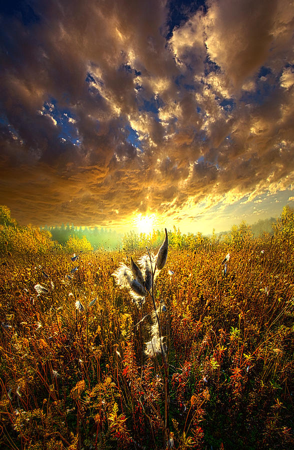 Longing to Return Photograph by Phil Koch