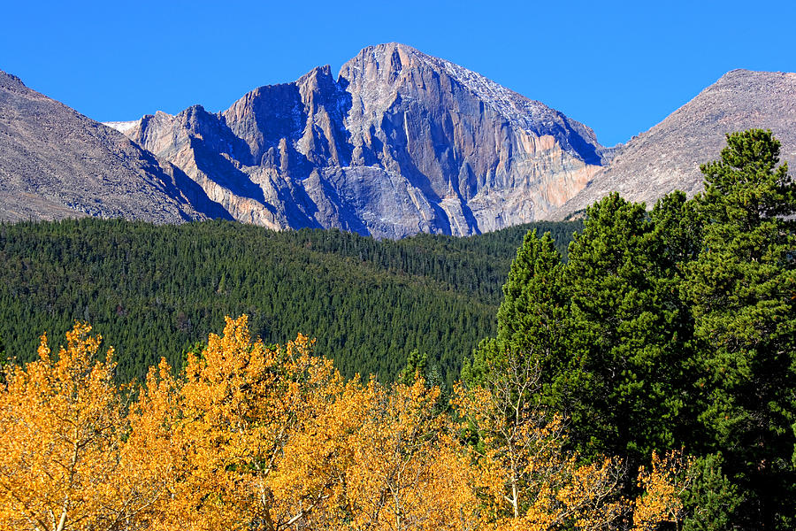 Longs Peak Autumn Aspen Landscape View Photograph by James BO Insogna