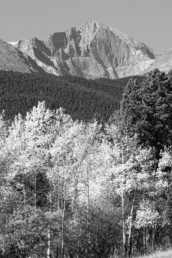 Longs Peak Autumn Scenic BW View Photograph by James BO Insogna