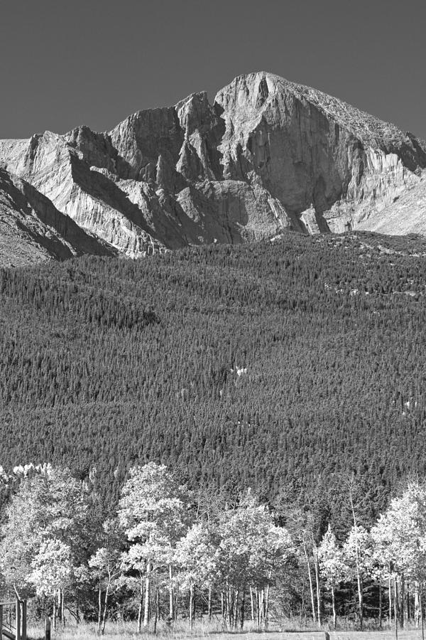 Longs Peak Autumn View in Black and White Photograph by James BO