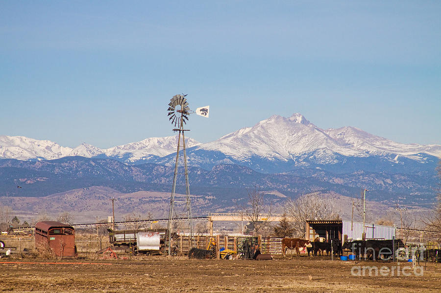 Longs Peak Rural Country Scenic View Photograph by James BO Insogna