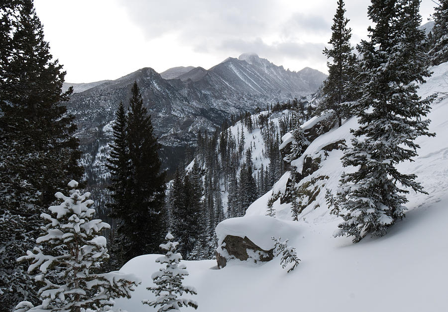 Longs Peak Winter Photograph by Cascade Colors